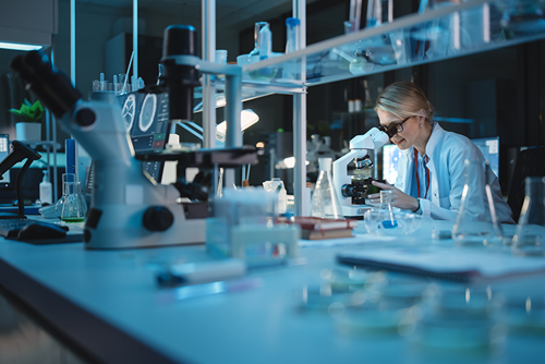 Adrigo månadsrapport september 2025